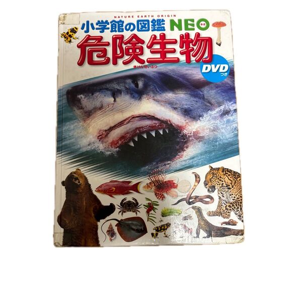 小学館の図鑑NEO 危険生物 DVD