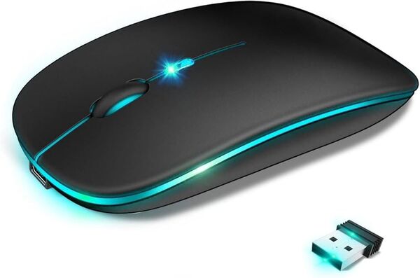 ワイヤレス マウス 無線 静音 瞬時接続 小型 高感度 ブルートゥース 2.4GHz 3段階DPI切替 左右対称 充電式 1162