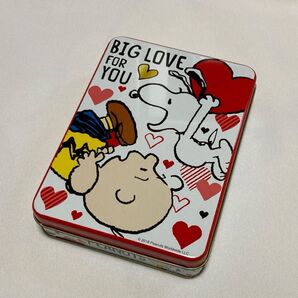 スヌーピー&チャーリーブラウン缶ケース USJ