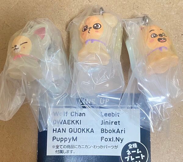 SKZOO めじるしアクセサリー HAN QUOKKA PuppyM FoxI.Ny ガチャ ハン スンミン アイエン 3個セット