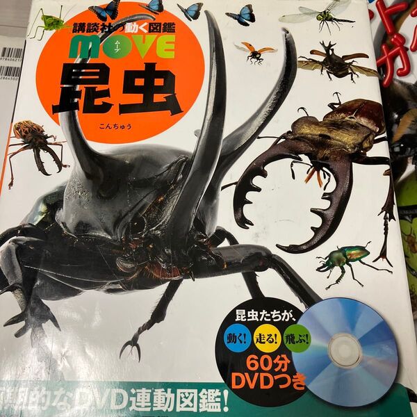 昆虫 (講談社の動く図鑑MOVE) 養老孟司/監修