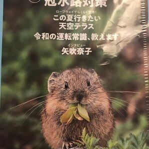 JAF mat 2025年8月号 付録 矢吹奈子 関東エリア優待情報付き