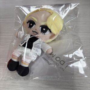 Snow Man すのチルぶら下がりシリーズ ぬいぐるみver. ラウール