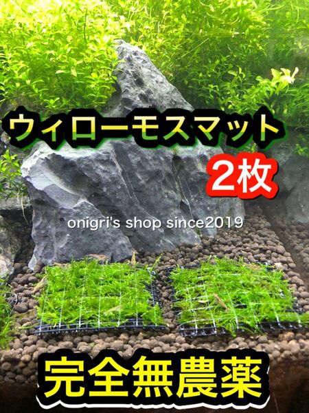 ウィローモスマット 5㎝×5㎝ 2枚【完全無農薬】