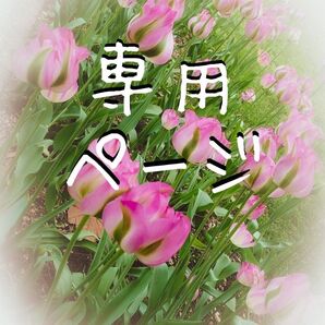 【専用ページ】ハンドメイドピアス 2点SET 5品