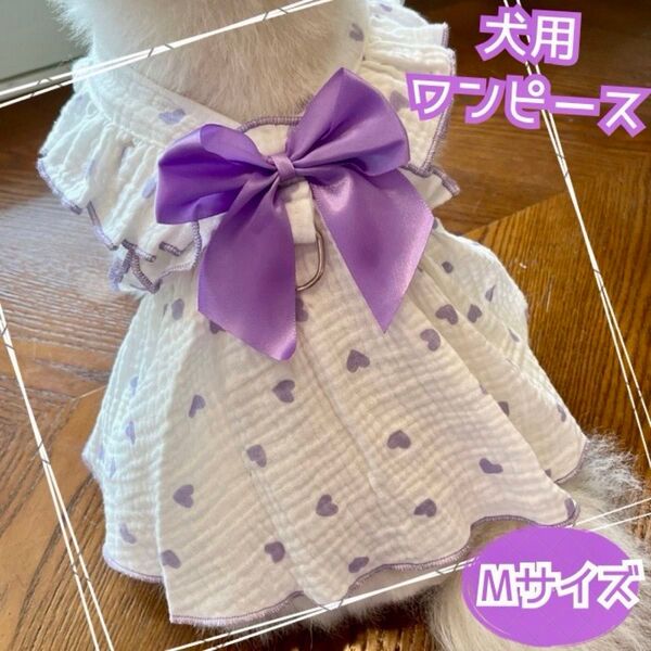 パープル犬服 リボン ワンピース M ドット 犬用 小型犬 ワンピース Dカン付き