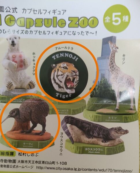 天王寺動物園カプセルフィギュア アムールトラ&キーウィ