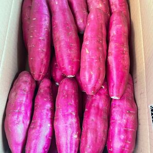 令和7年産、新イモ入荷中!最高級鳴門金時、M Lサイズ、5kg