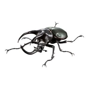 いきもの大図鑑アドバンス コーカサスオオカブト モーレンカンプオオカブト単品 ガチャ 送料無料 匿名配送