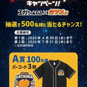 赤城乳業ガツンとみかん バーコード18枚 各コース3口ずつ ハガキ9枚貼付