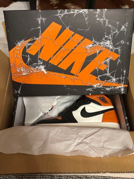 NIKE AIR JORDAN1 シャッタードバックボード