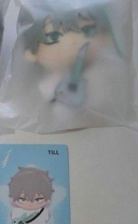 エイリアンステージ ティル ぬいぐるみ トレカ 海星体 未開封新品