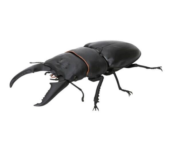 バンダイ ヒラタクワガタ いきもの大図鑑 くわがた06 未開封 昆虫フィギュア BANDAI ガチャ ガシャポン