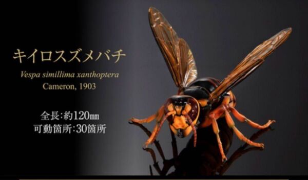 未開封 いきもの大図鑑アドバンス スズメバチ02 キイロスズメバチ 昆虫フィギュア バンダイ ガシャポン 蜂