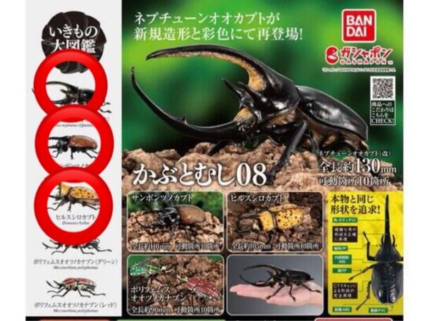 いきもの大図鑑 かぶとむし08 ネプチューンオオカブト(改) ヒルスシロカブト サンボンヅノカブト 昆虫フィギュアセット バンダイ