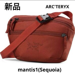 タグ付き新品ARC'TERYX mantis1 WAISTPACK