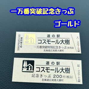 道の駅記念きっぷ コスモール大樹 一万番突破記念きっぷ 通常きっぷセット 北海道