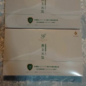 善玉元気 2箱セット 新品未開封