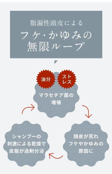 フケ・かゆみ・敏感肌の方におすすめ!頭皮にやさしく、すっきりとした洗い上がり。