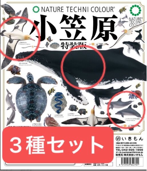 いきもん ネイチャーテクニカラー 小笠原 特装版 ザトウクジラ ミナミバンドウイルカ アホウドリ 3種セット ③