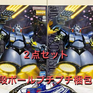 MG 1/100 ジオング 2点セット