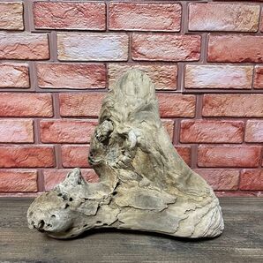 流木 NO.80 インテリア オブジェ