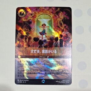 ディズニーロルカナ 大丈夫、家族がいる エンチャンテッド