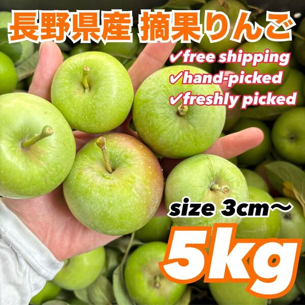 産地直送 長野県産 摘果りんご 3〜5cm 5kg 加工用 ジャム 送料無料 林檎 コンポート リンゴ酢 シードル 1