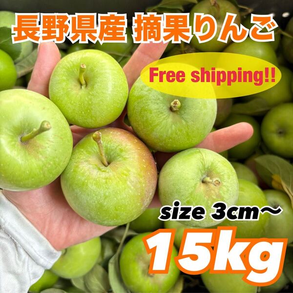 産地直送 長野県産 摘果りんご 3〜5cm 15kg 加工用 ジャム 送料無料 林檎 コンポート リンゴ酢 シードル 2