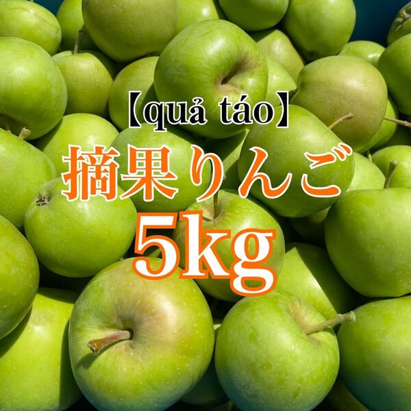 産地直送 長野県産 摘果りんご 5kg 加工用 ジャム apple 送料無料 林檎 コンポート リンゴ酢 夏休みの実験 1