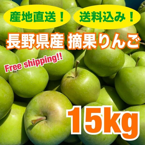 産地直送 長野県産 摘果りんご 15kg 加工用 ジャム apple 送料無料 林檎 コンポート リンゴ酢 夏休みの実験 1