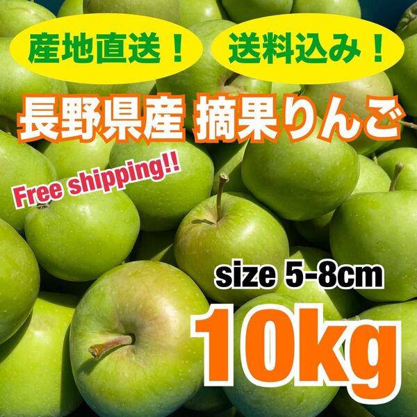 産地直送 長野県産 摘果りんご 10kg 加工用 ジャム apple 送料無料 林檎 コンポート リンゴ酢 夏休みの実験 31