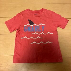 babyGap GNARLY サメ キッズTシャツ 105cm レッド