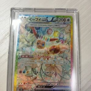 イーブイex SAR テラスタルフェスex