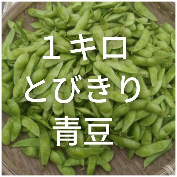 訳あり枝豆