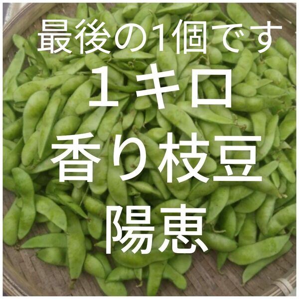 訳あり枝豆 最後の1個です