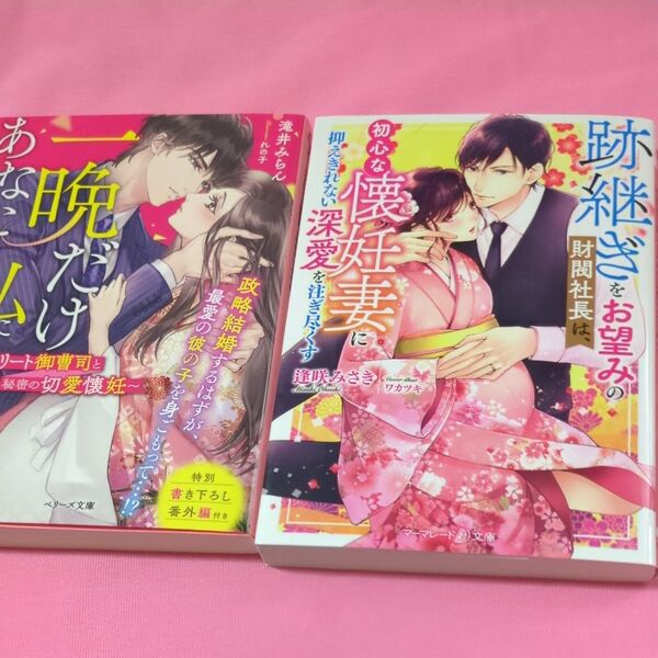 一晩だけあなたを私にください エリート御曹司と秘密の切愛懐妊 (ベリーズ文庫 た5-18) 滝井みらん/著tl文庫