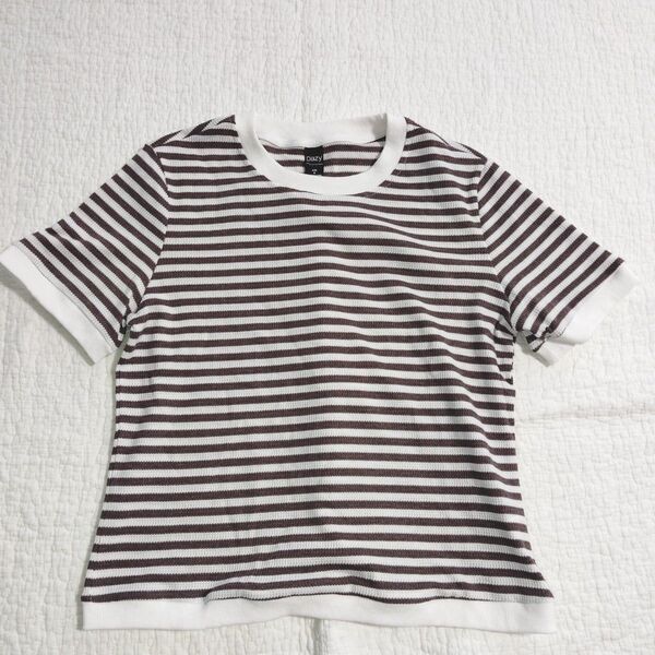 SHEIN Dazy ボーダー ニット Tシャツ 半袖Tシャツ 半袖 ホワイト アイボリー ブラウン М サマーニット