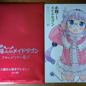 劇場版 小林さんちのメイドラゴン 入場者特典 秘密のすぺしゃるコミック クール教信者 カンナ コミック