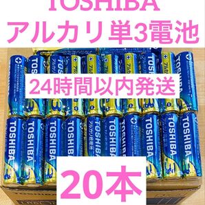 単3【20本】長持ち アルカリ乾電池 単3電池 単3単3形 単三 単三電池