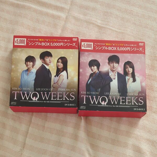 イ・ジュンギ TWO WEEKS DVD-BOX1.2 おまけ付き!