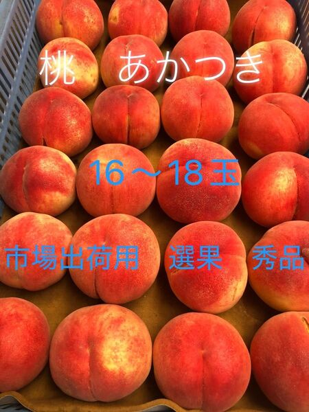 Y①長野県産 農家直送 桃 あかつき 16、18玉 秀品 100サイズ 朝採り