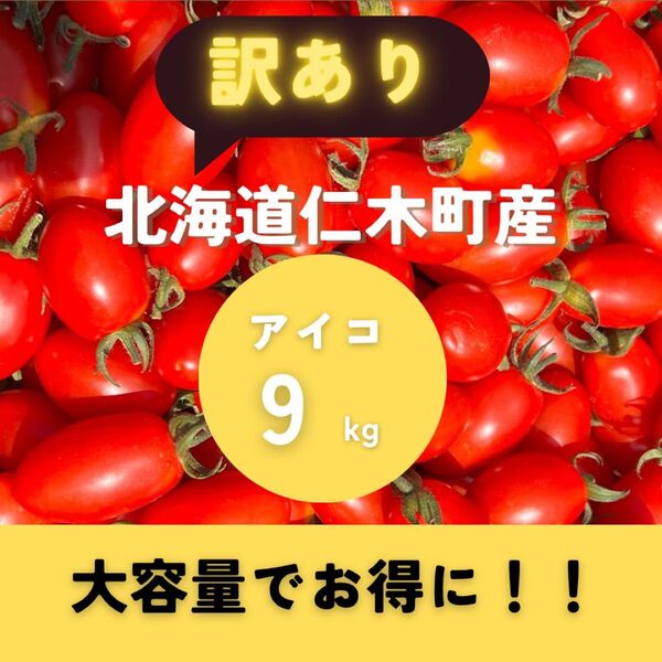 北海道産 アイコ 訳あり 3㎏