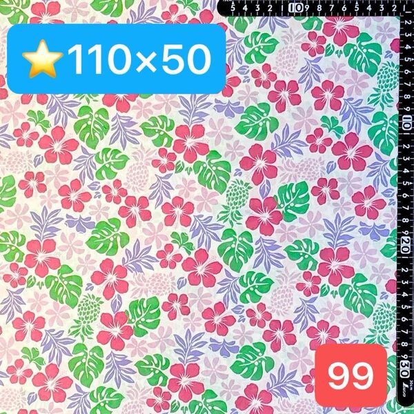 ★99生地/モンステラ花柄【110cm×50cm】現品限り!(★マーク生地どれでも4点1600円)