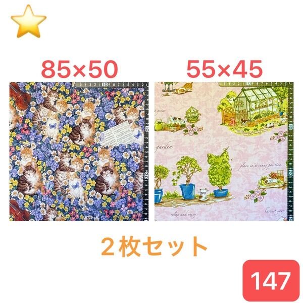 ★147生地/猫柄2枚セット【サイズは画像参照】現品限り!(★マーク生地どれでも4点1600円)
