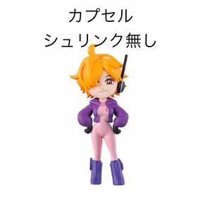 ワンピの実 第二十三海戦 リリス カプセルシュリンクなし