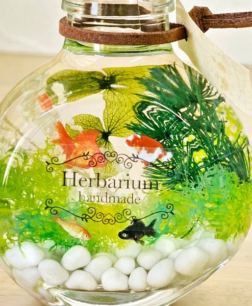 夏saleハーバリウム*金魚のアクアリウム