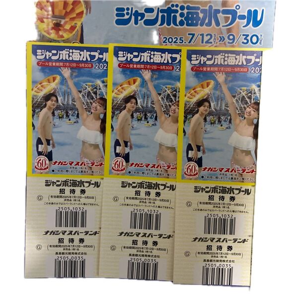 ナガシマスパーランド ジャンボ海水プール入場券 3枚