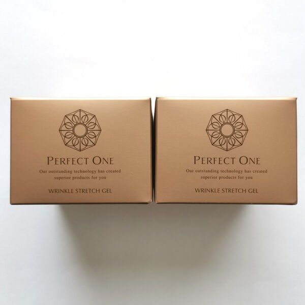 【リニューアル品】パーフェクトワン 薬用リンクルストレッチジェル 50g×2個