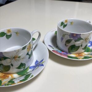 カップ&ソーサー 2客セット mario valentine